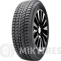 Double Star Winterking DW02 275/45 R20 110T